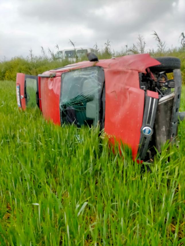 Esce fuori strada e si ribalta con l'auto per evitare un cinghiale, 45enne miracolata