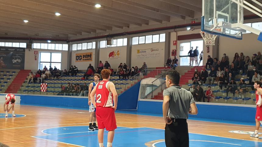 Molise Basket Young