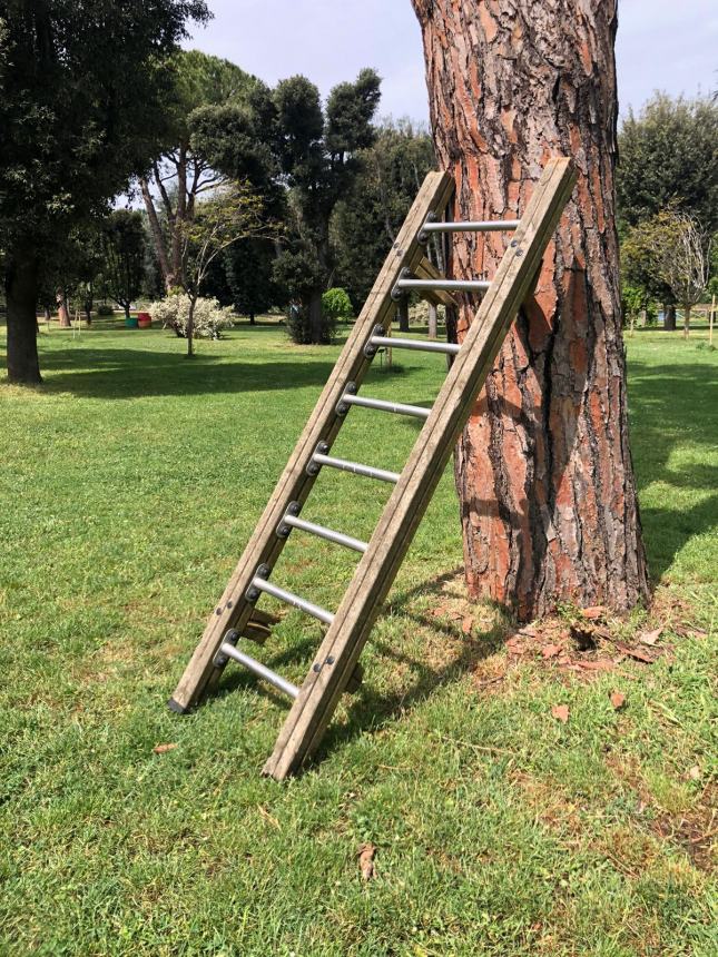 Vandalismo al parco