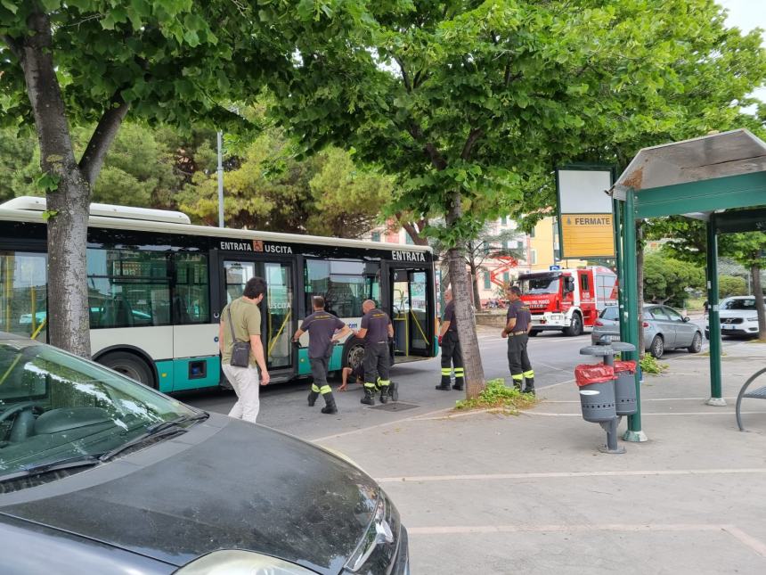 Vigili del fuoco in azione per salvare un gattino