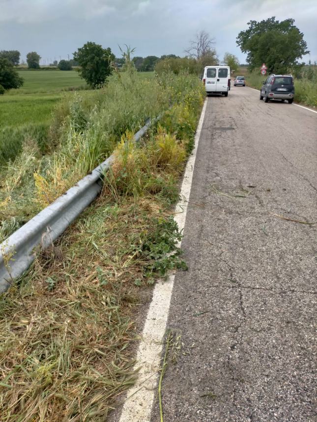 Esce fuori strada e si ribalta con l'auto per evitare un cinghiale, 45enne miracolata