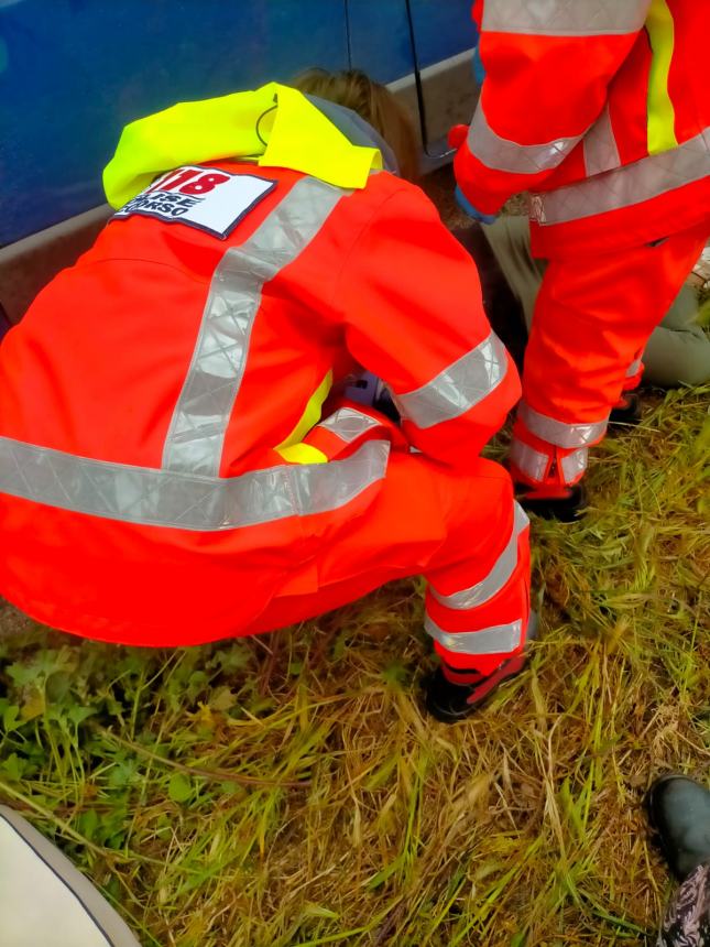 Esce fuori strada e si ribalta con l'auto per evitare un cinghiale, 45enne miracolata