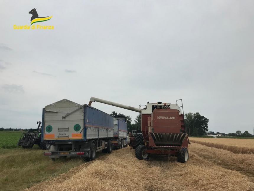 Sequestrato grano duro