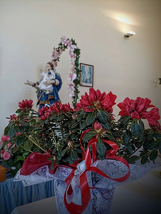 Madonna di Montelateglia e San Nicola, Tavenna tra fede, devozione e prodotti tipici