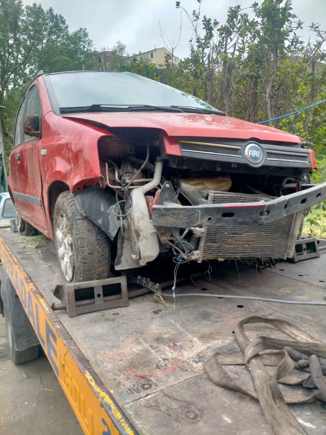 Esce fuori strada e si ribalta con l'auto per evitare un cinghiale, 45enne miracolata