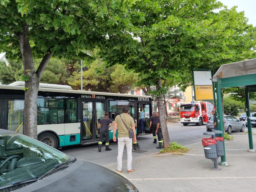 Vigili del fuoco in azione per salvare un gattino