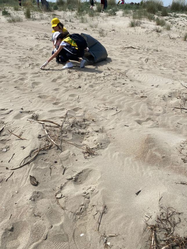 Legambiente, volontari e studenti ripuliscono la spiaggia di Campomarino