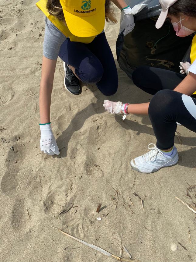 Legambiente, volontari e studenti ripuliscono la spiaggia di Campomarino