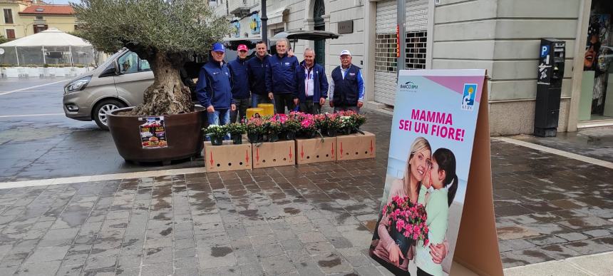 Il maltempo annaffia la voglia di azalee, 200 piante consegnate in poche ore