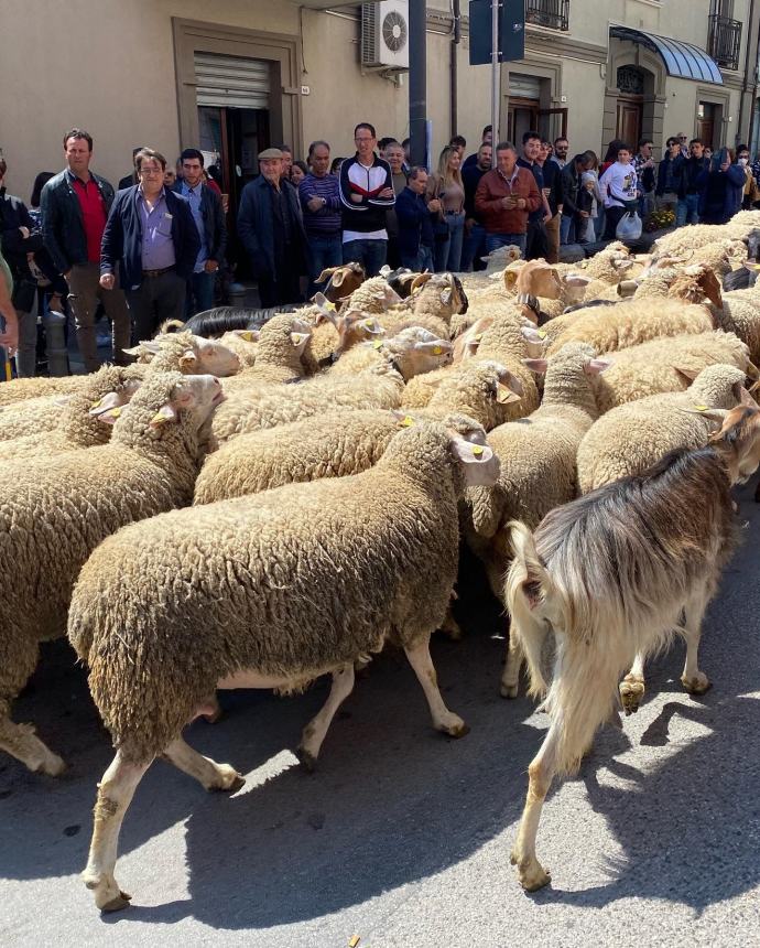 Ultimo sabato di aprile a Santa Croce di Magliano