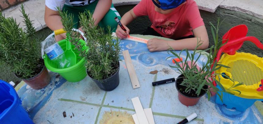 Grande successo dell’iniziativa “Adotta le aromatiche alla Villa”