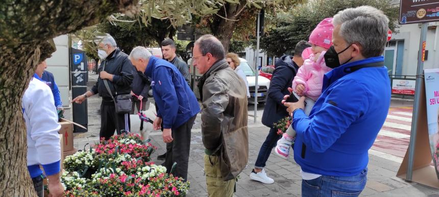 Il maltempo annaffia la voglia di azalee, 200 piante consegnate in poche ore