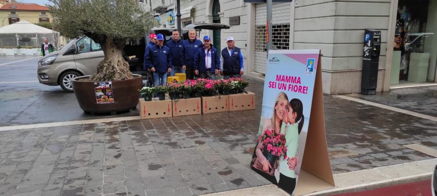 Il maltempo annaffia la voglia di azalee, 200 piante consegnate in poche ore