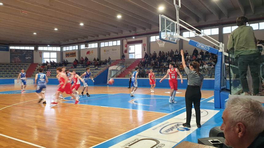 Molise Basket Young