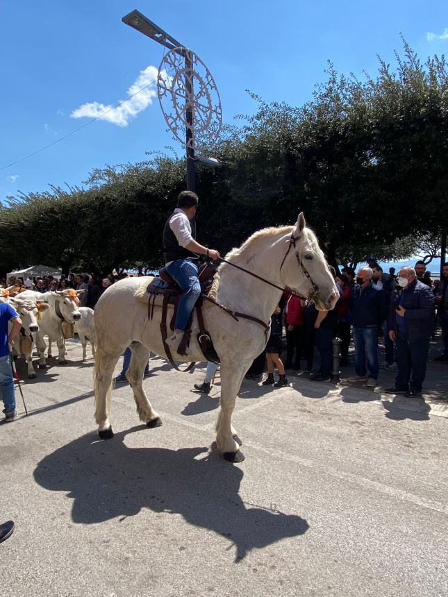 Ultimo sabato di aprile a Santa Croce di Magliano