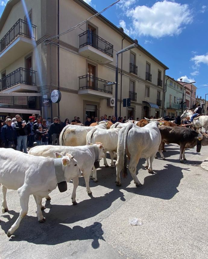 Ultimo sabato di aprile a Santa Croce di Magliano