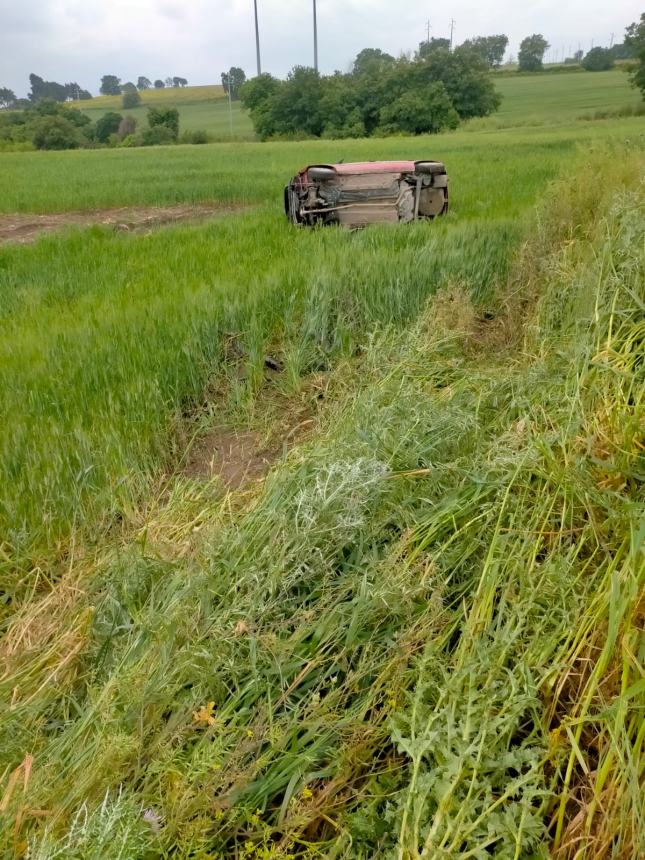 Esce fuori strada e si ribalta con l'auto per evitare un cinghiale, 45enne miracolata