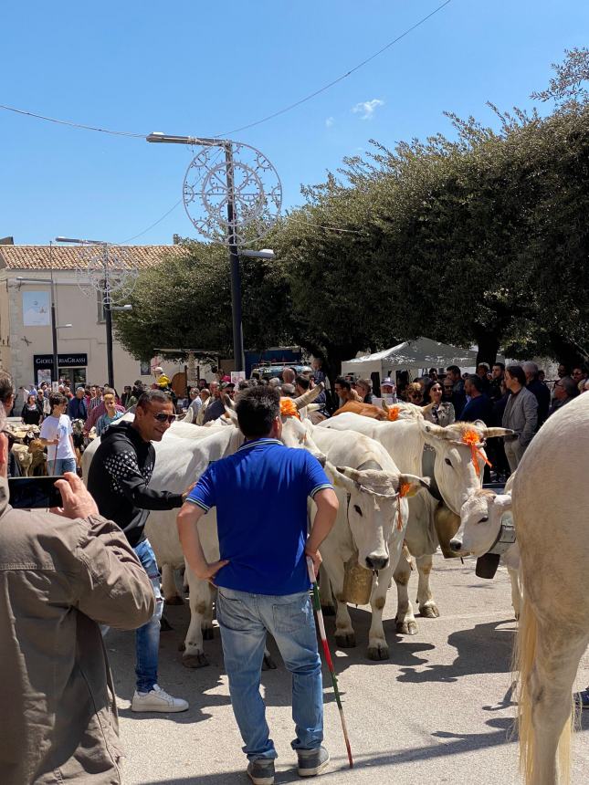 Ultimo sabato di aprile a Santa Croce di Magliano