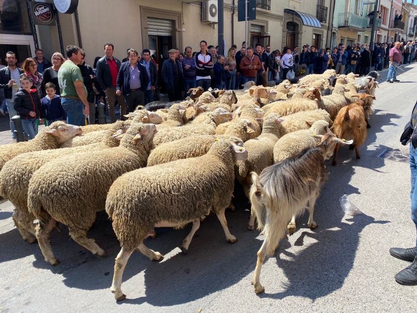 Ultimo sabato di aprile a Santa Croce di Magliano