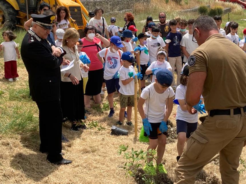 "Un albero per il futuro" dedicato a ogni vittima della Jovine a San Giuliano di Puglia