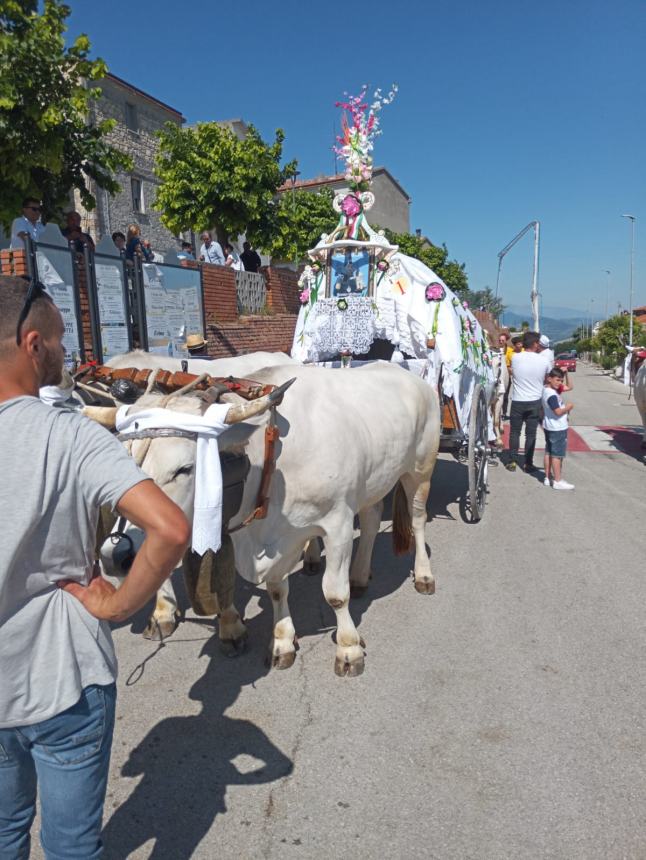 Tavenna ha vestito coi pizzi a tombolo più belli i suoi carri di Sant'Antonio