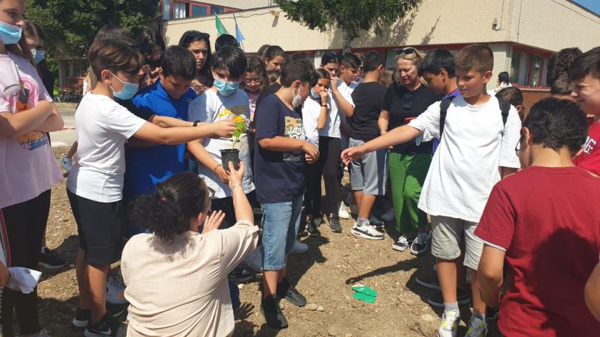 Ultimo giorno di scuola piantando una Pawlonia