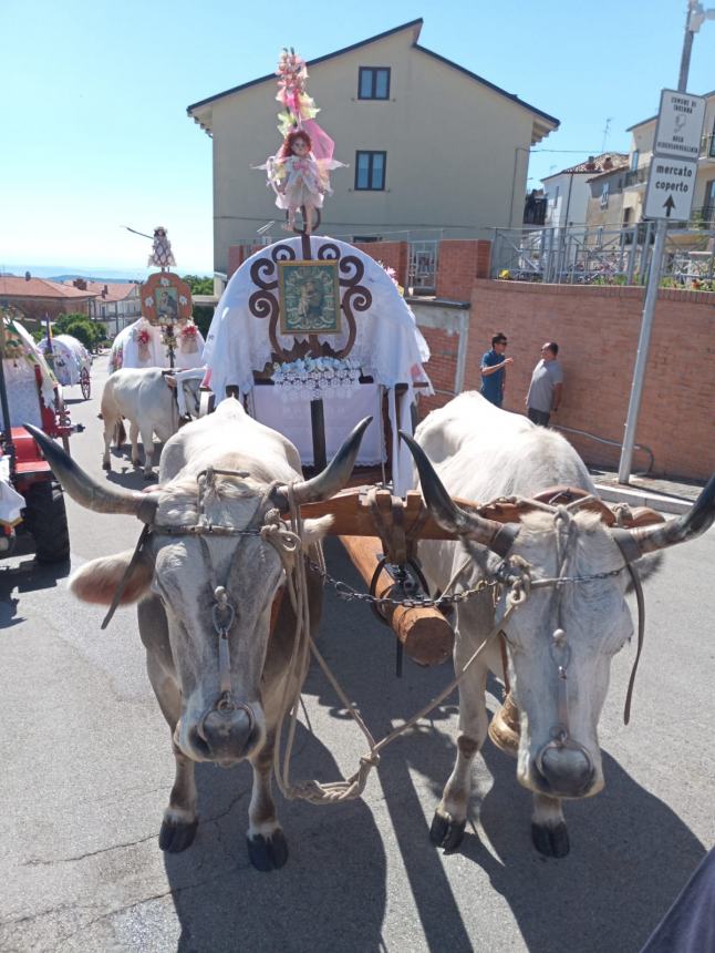 Tavenna ha vestito coi pizzi a tombolo più belli i suoi carri di Sant'Antonio