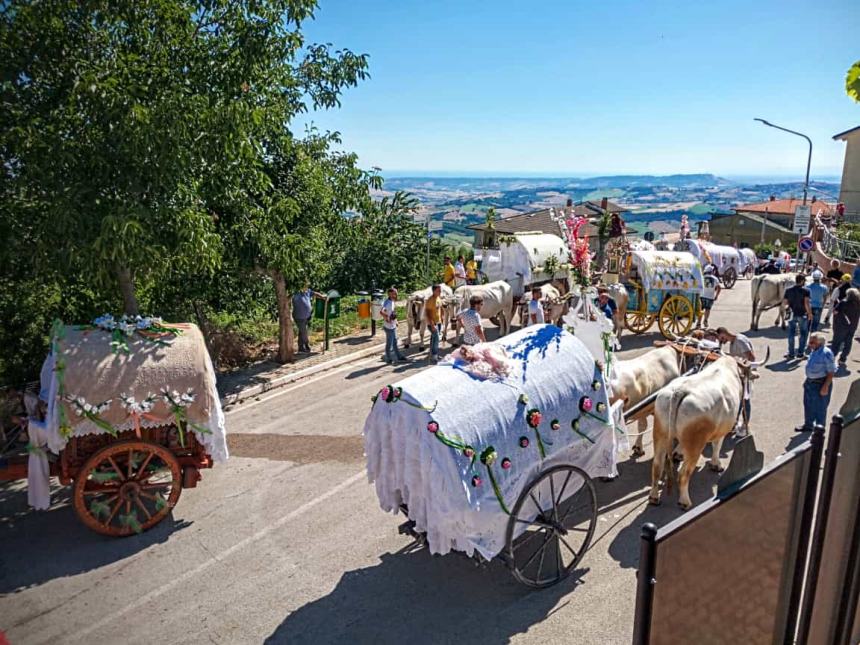 Tavenna ha vestito coi pizzi a tombolo più belli i suoi carri di Sant'Antonio