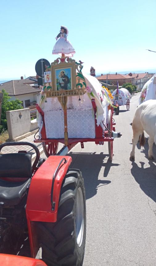 Tavenna ha vestito coi pizzi a tombolo più belli i suoi carri di Sant'Antonio