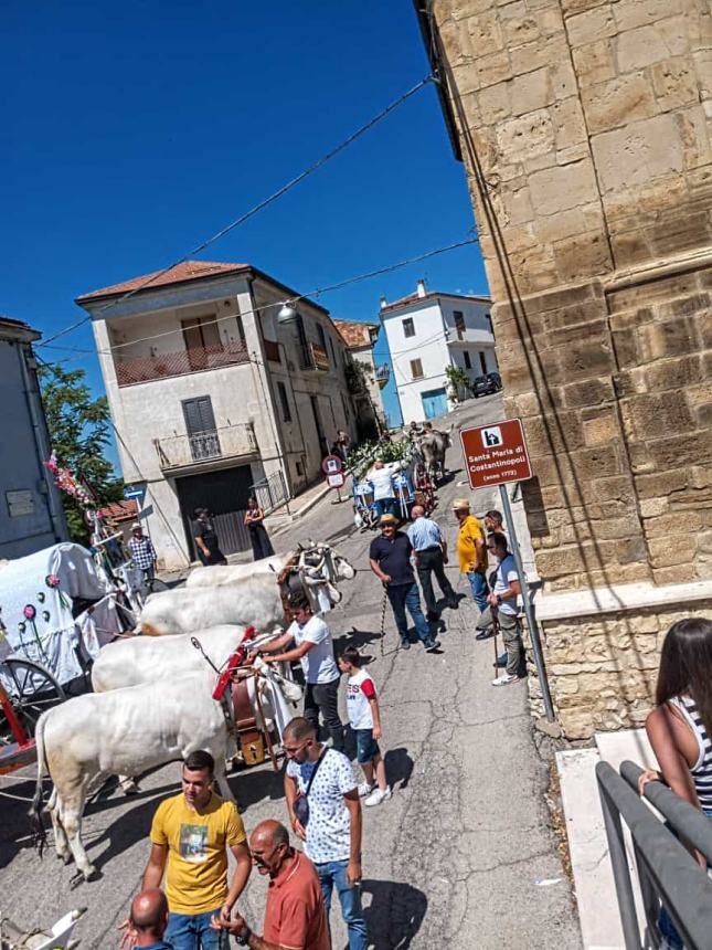 Tavenna ha vestito coi pizzi a tombolo più belli i suoi carri di Sant'Antonio