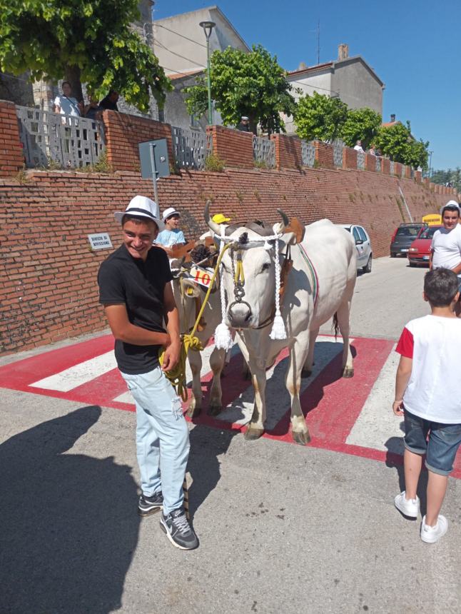 Tavenna ha vestito coi pizzi a tombolo più belli i suoi carri di Sant'Antonio