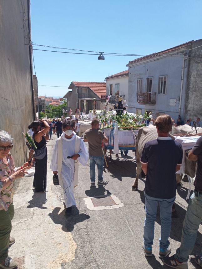 Tavenna ha vestito coi pizzi a tombolo più belli i suoi carri di Sant'Antonio