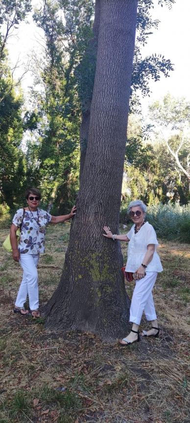 Incontro a Montecilfone