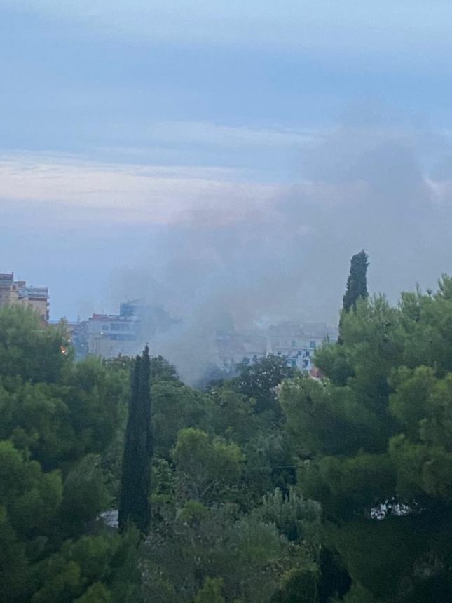 Vigili del fuoco all'opera sul Parco comunale