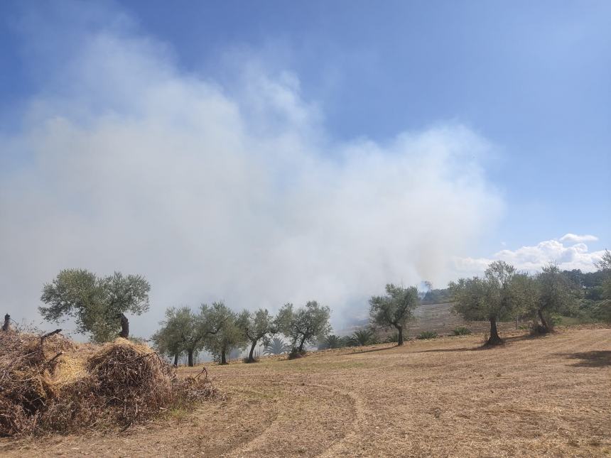 Incendio a San Martino in Pensilis