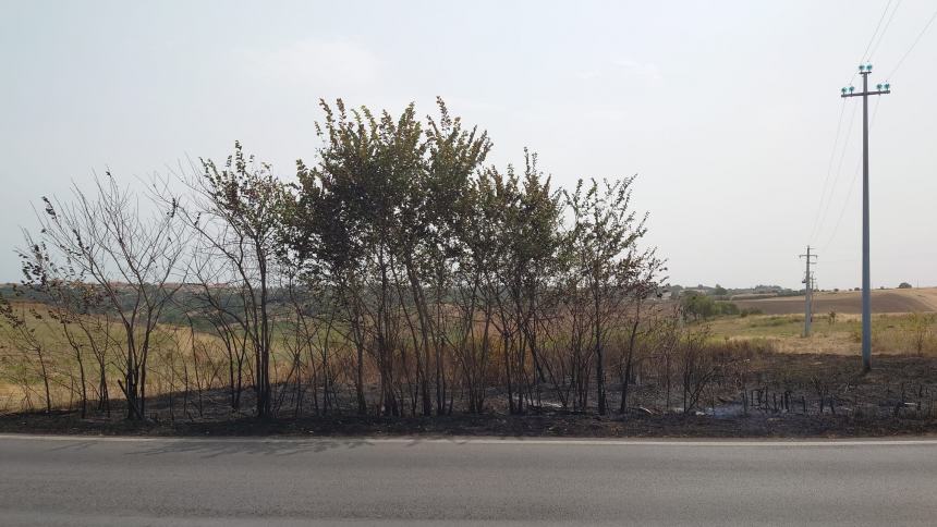 Incendio tra Termoli e San Giacomo degli Schiavoni, diversi gli interventi del 115