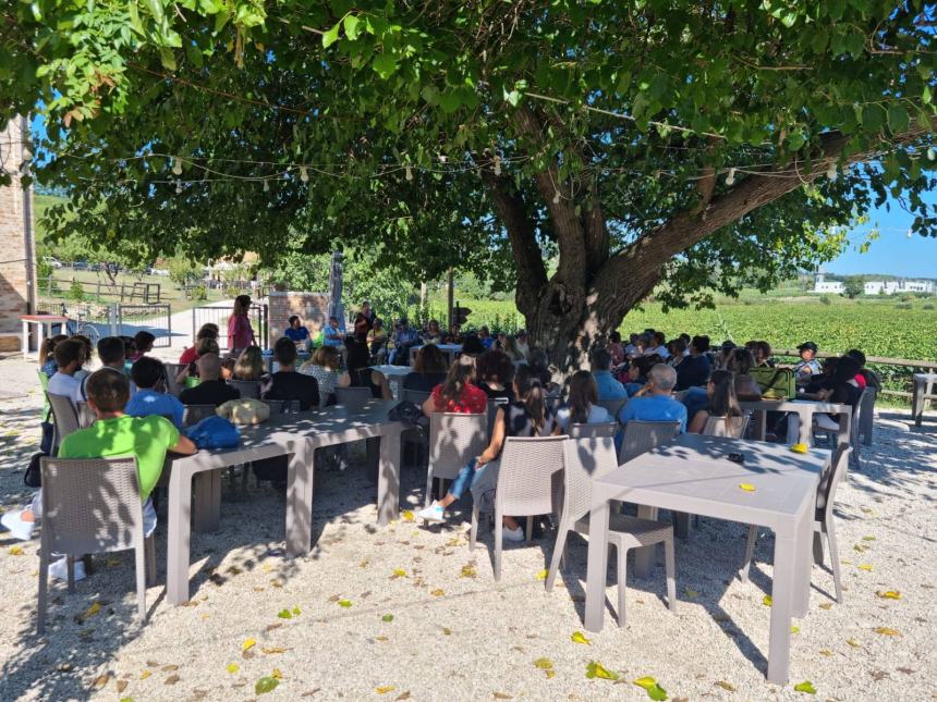 A scuola nel bosco, nuovi ambienti di apprendimento per i docenti del Palizzi di Vasto