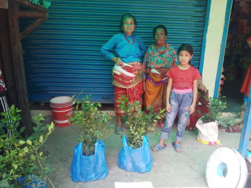 Donati 710 alberi di limone a decine di famiglie indigenti del villaggio di Jeevampur in Nepal