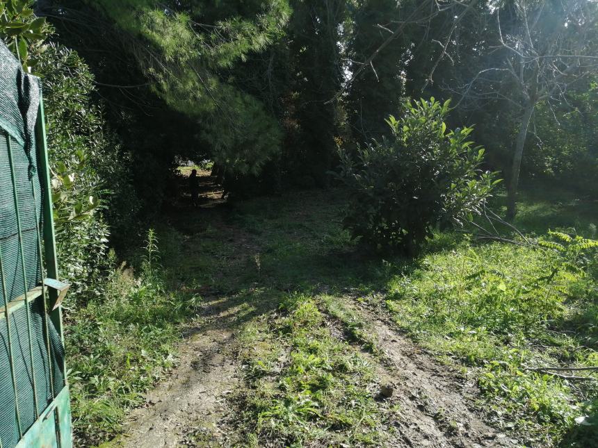 Sgombero di 23 terreni alla Canale: "Presto nascerà un parco con accessi al mare"