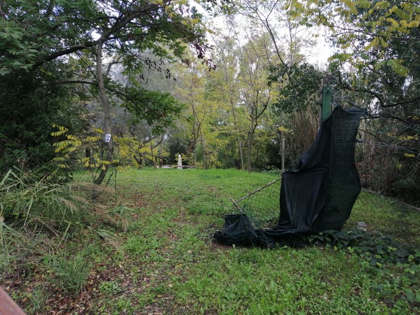 Sgombero di 23 terreni alla Canale: "Presto nascerà un parco con accessi al mare"