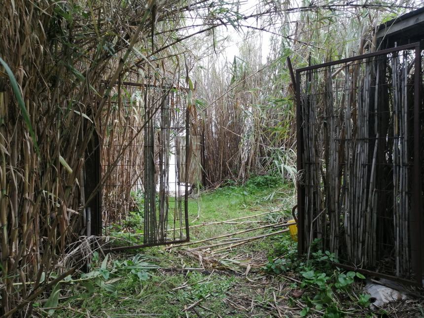 Sgombero di 23 terreni alla Canale: "Presto nascerà un parco con accessi al mare"