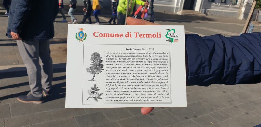Giornata nazionale dell'albero a Termoli