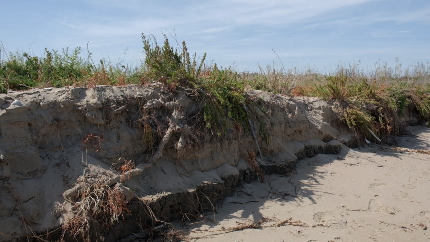 Erosione e degrado, «Il progetto South Beach aiuterebbe la costa»