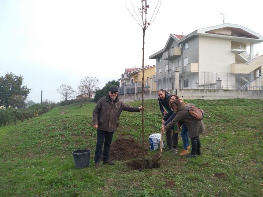 A Fossacesia festeggiati nel Parco della Libertà i nuovi nati con la donazione degli alberi