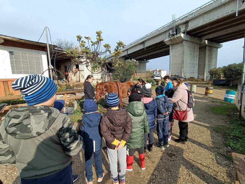 Alunni dell'istituto "Achille Pace" in visita ai "Cavalieri della costa molisana"