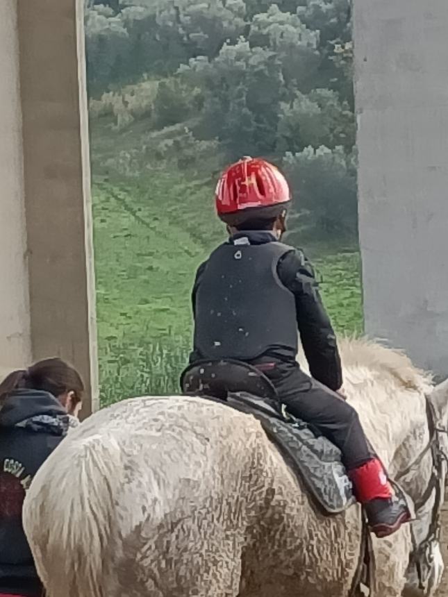 Alunni dell'istituto "Achille Pace" in visita ai "Cavalieri della costa molisana"