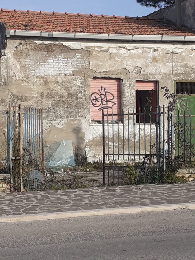 Ex scuola elementare di via Del Porto in abbandono e in degrado: "E' pericolosa"