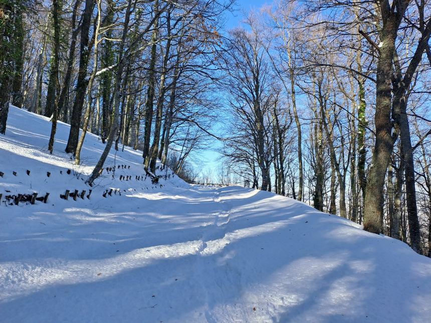 Sole, neve e divertimento: Il Cai Vasto a Torrebruna per una ciaspolata