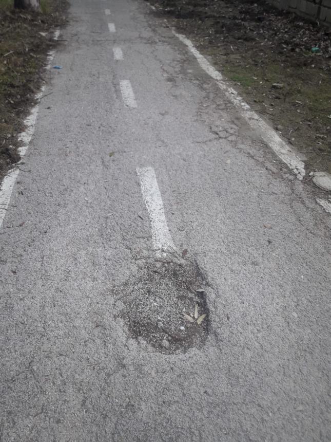 "Sulla pista ciclabile cinghiali, asfalto sconnesso e mancano i cestini fino a San Salvo"