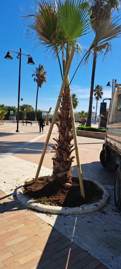 Vasto marina si prepara alla Pasqua e all'estate, tra i progetti una palestra all'aperto